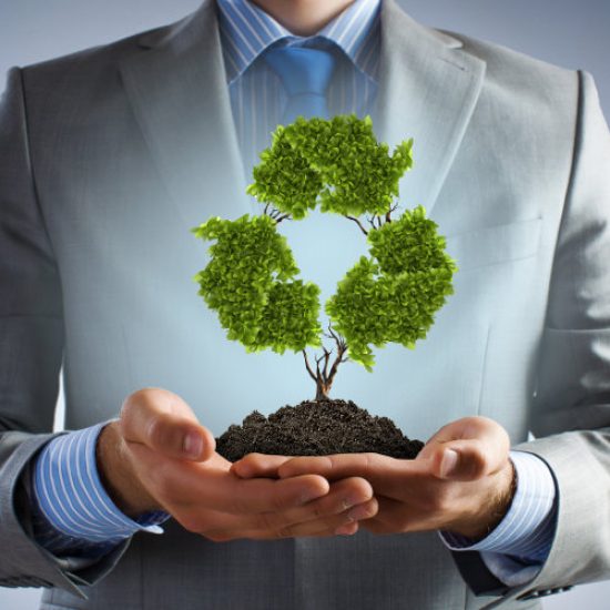 environmental-service